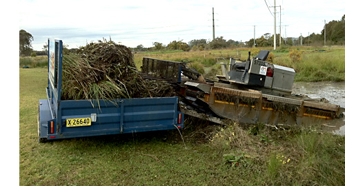 our harvester in operation